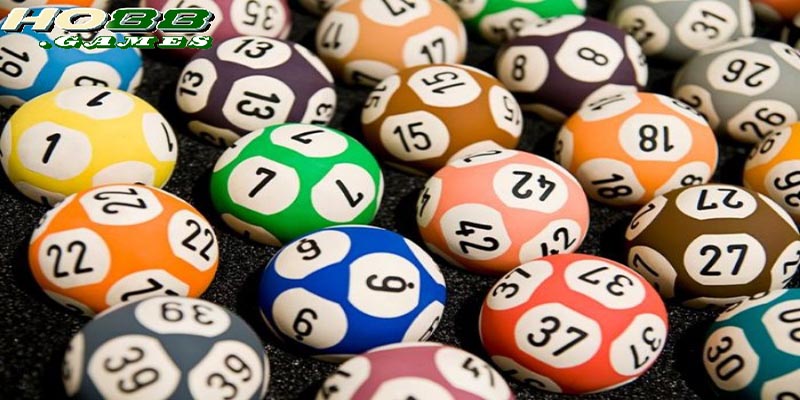 Mẹo chọn dàn đề bất bại được các cao thủ chia sẻ