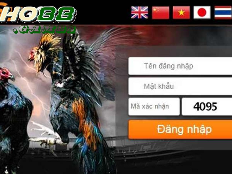 Lưu ý khi đăng nhập nhà cái 