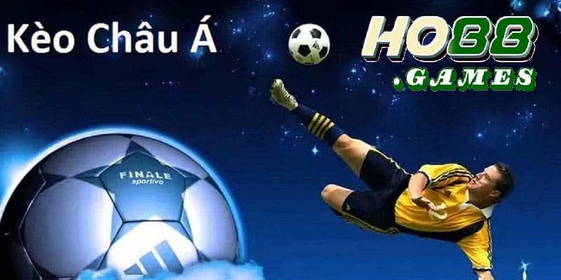 Hình thức cá cược phổ biến 