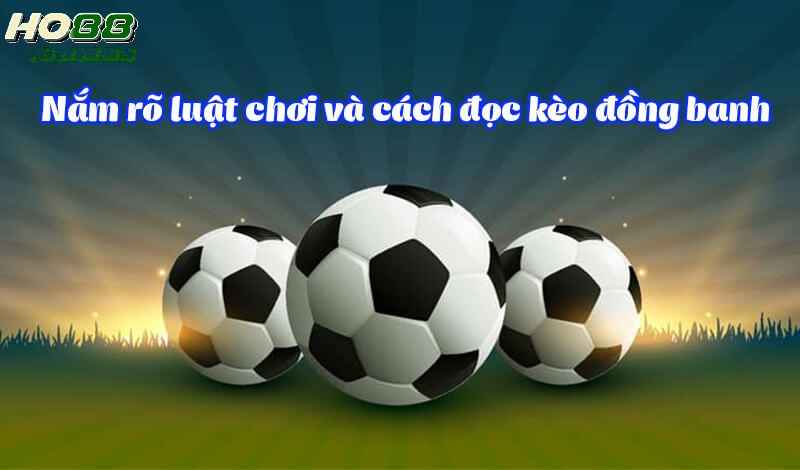 Để đặt cược kèo hòa hiệu quả, bạn cần nắm rõ luật và cách đọc kèo đồng banh