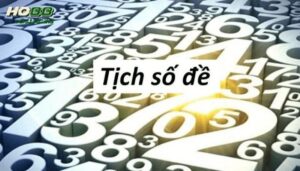 Hãy tận dụng những thông tin từ giấc mơ của mình